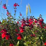 Holiday home Maison Chaleureuse- Cheminee, Nature Et Sport ! *